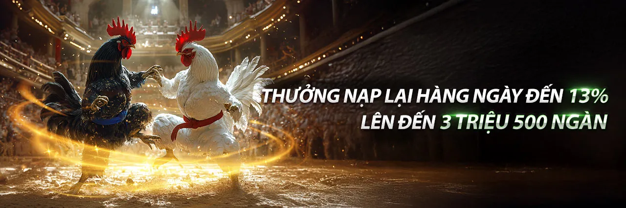 Hình ảnh đá gà trực tuyến bet11 khuyến mãi