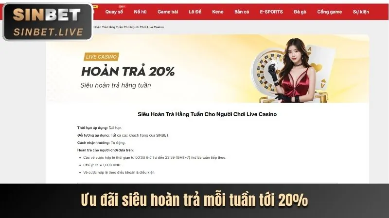 Cập nhật trò chơi casino bet11